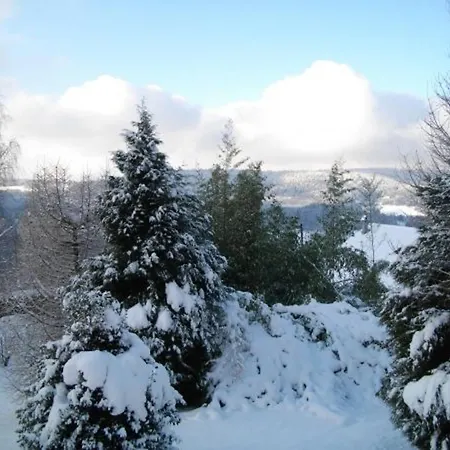 De Montagne Chaleureux Avec Cheminee, Terrasse Et Proche - Fr-1-589-2 * Anould