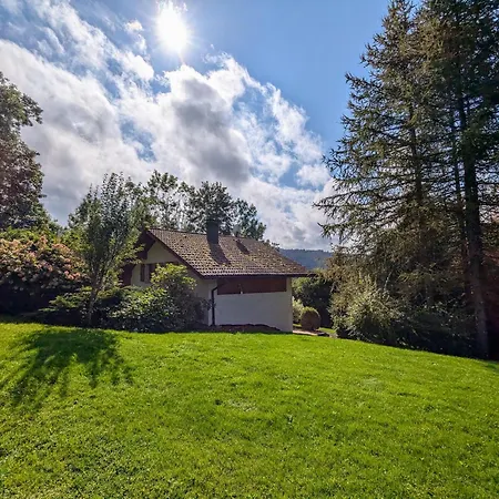 De Montagne Chaleureux Avec Cheminee, Terrasse Et Proche - Fr-1-589-2 * Anould