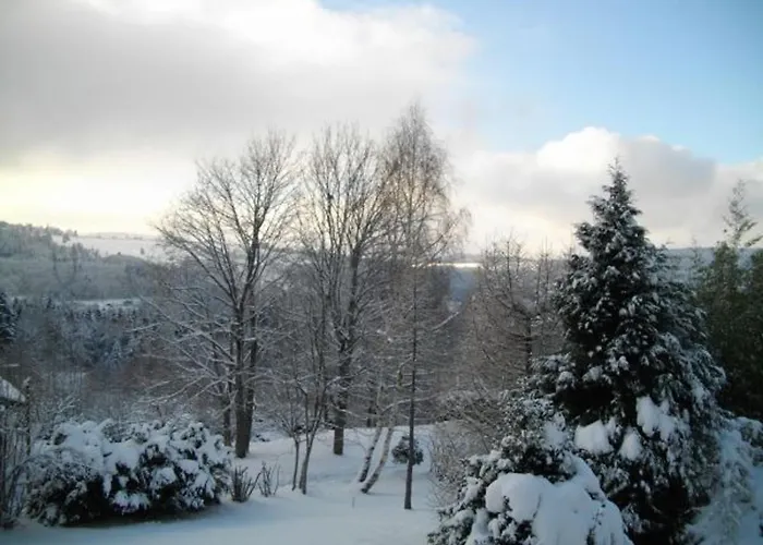 De Montagne Chaleureux Avec Cheminee, Terrasse Et Proche - Fr-1-589-2 * Anould