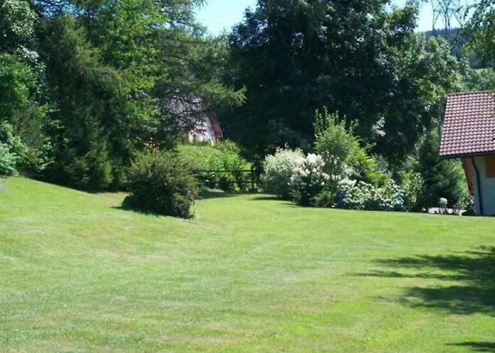 Prázdninový dům De Montagne Chaleureux Avec Cheminee, Terrasse Et Proche - Fr-1-589-2 *