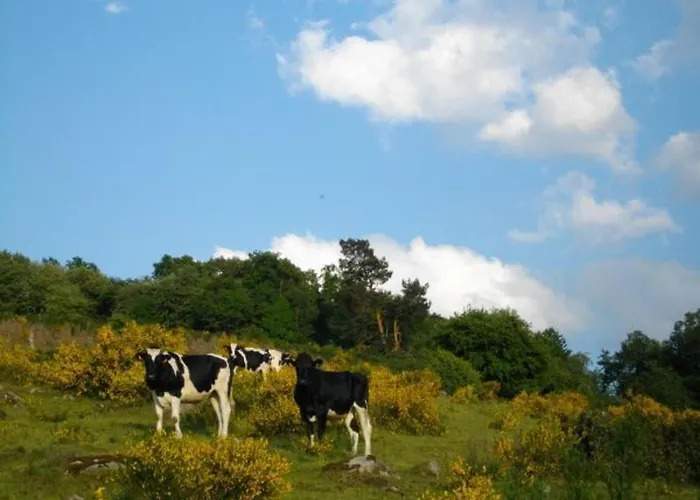 Prázdninový dům De Montagne Chaleureux Avec Cheminee, Terrasse Et Proche - Fr-1-589-2 *
