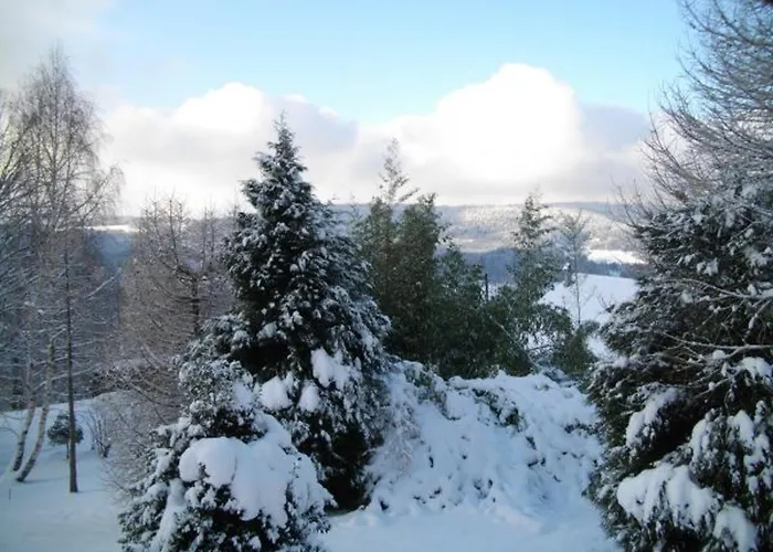 De Montagne Chaleureux Avec Cheminee, Terrasse Et Proche - Fr-1-589-2 * Anould