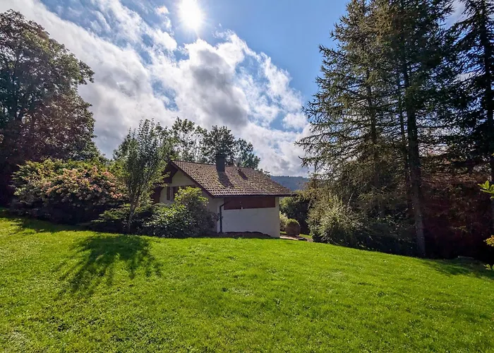 De Montagne Chaleureux Avec Cheminee, Terrasse Et Proche - Fr-1-589-2 * Anould