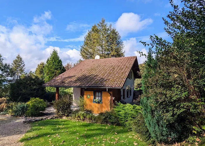 Prázdninový dům De Montagne Chaleureux Avec Cheminee, Terrasse Et Proche - Fr-1-589-2