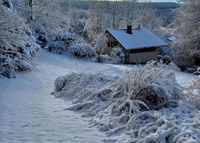 Prázdninový dům De Montagne Chaleureux Avec Cheminee, Terrasse Et Proche - Fr-1-589-2 *