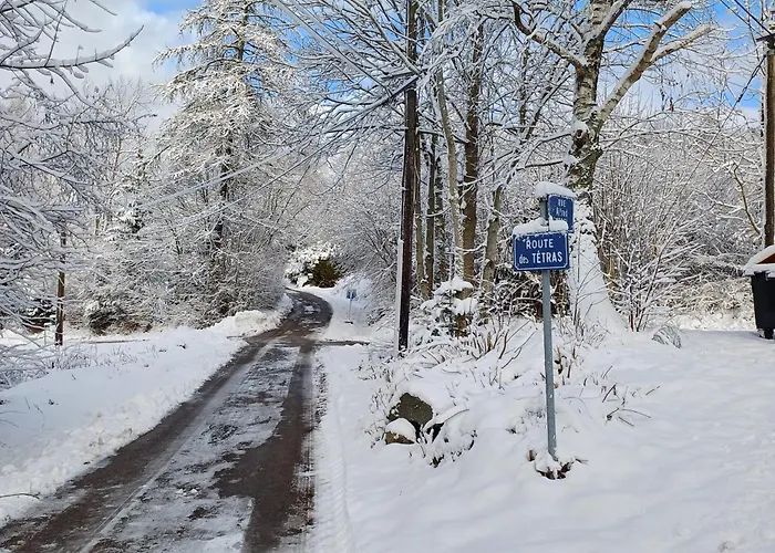 Prázdninový dům De Montagne Chaleureux Avec Cheminee, Terrasse Et Proche - Fr-1-589-2 Anould